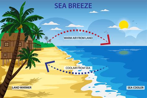 ‎Breeze .